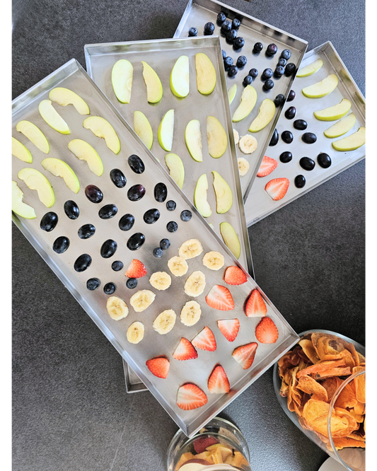 Lyophilisateur - Master LIO FREEZE DRYER LIO 40