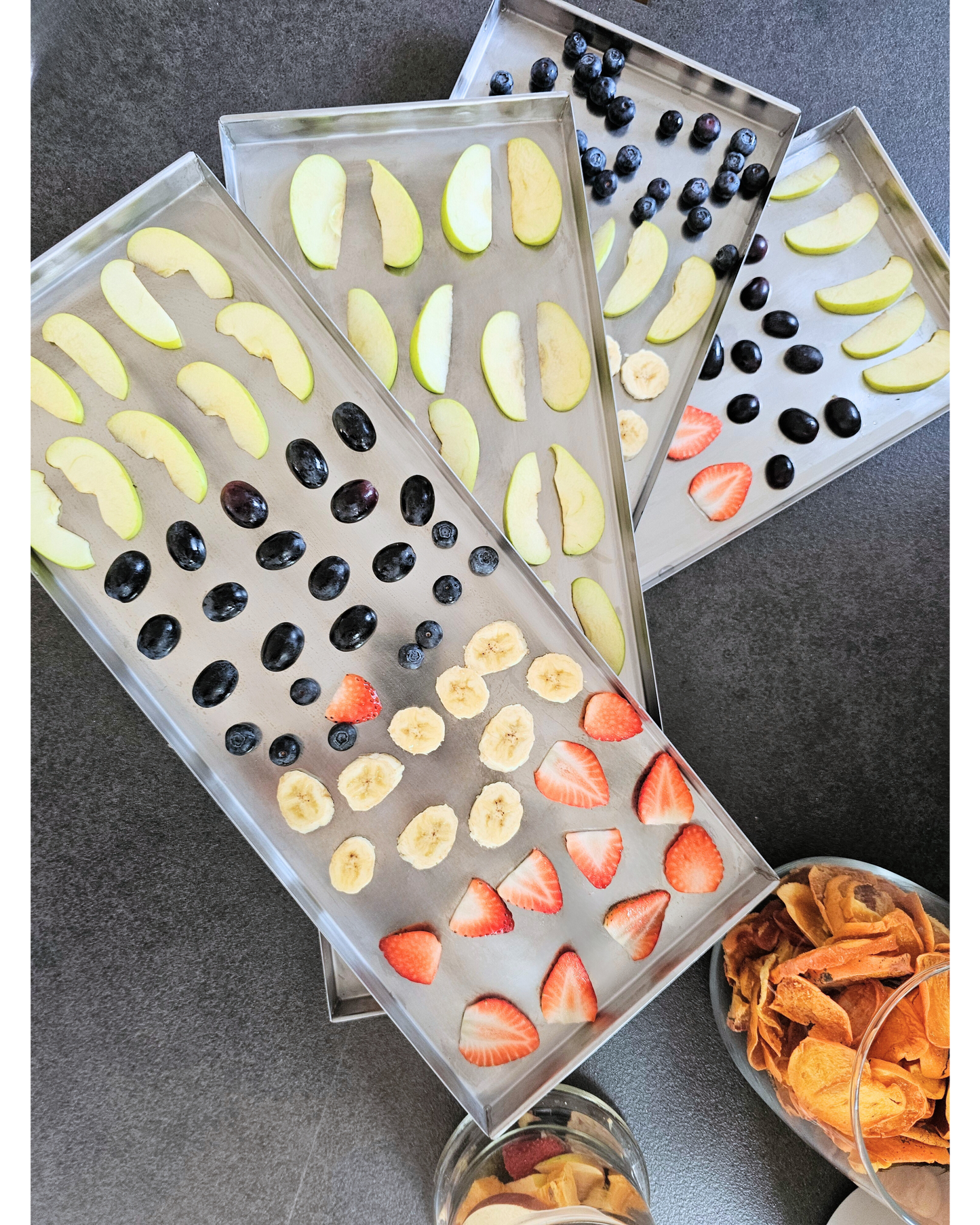 Lyophilisateur - Master LIO FREEZE DRYER LIO 40