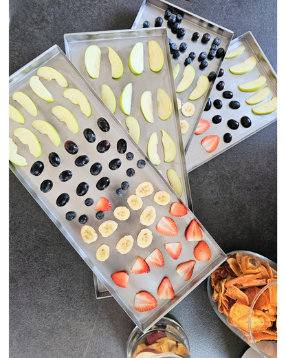 Lyophilisateur - Master LIO FREEZE DRYER LIO 40