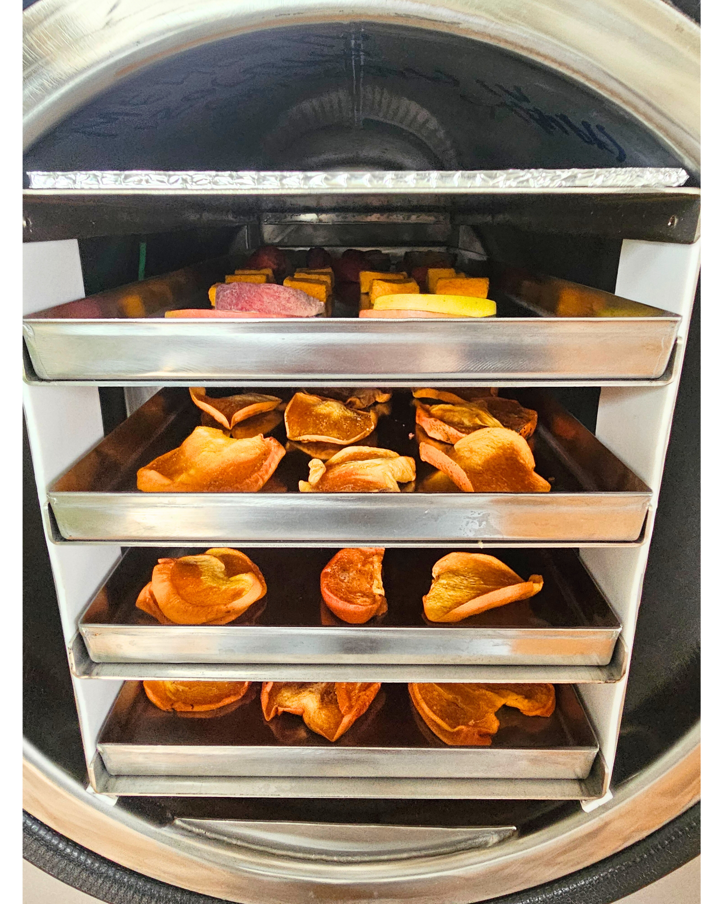 Lyophilisateur - Master LIO FREEZE DRYER LIO 40