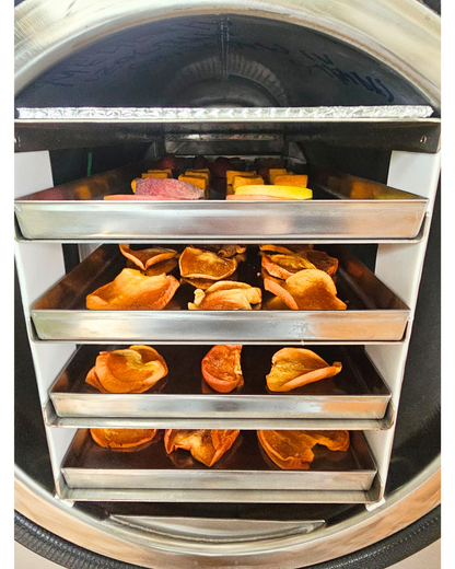 Lyophilisateur - Master LIO FREEZE DRYER LIO 40